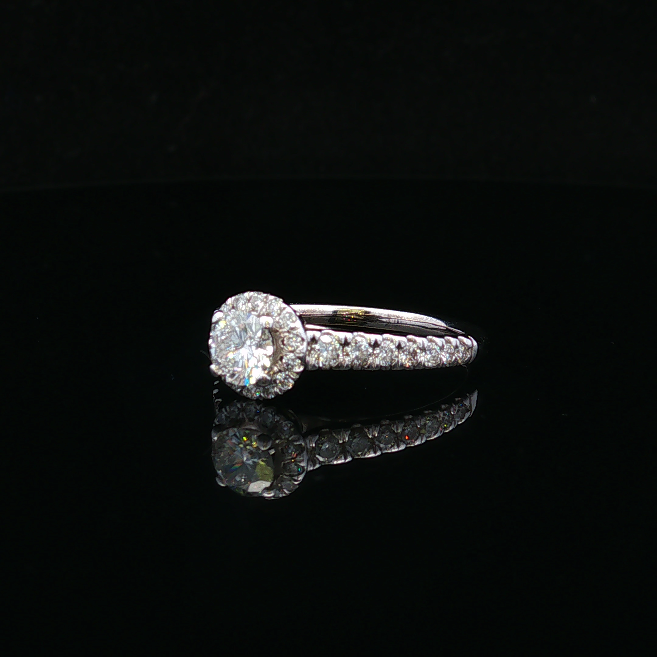 Cambriarose 14K White Gold Diamond Engagement Ring