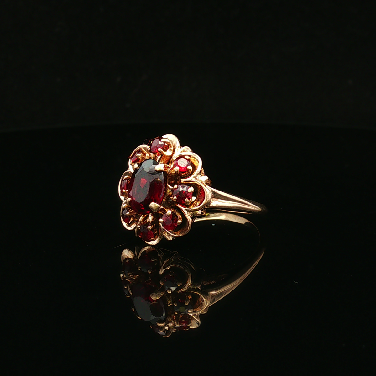 Ruthine Garnet 9-Stone Yellow Gold Ring
