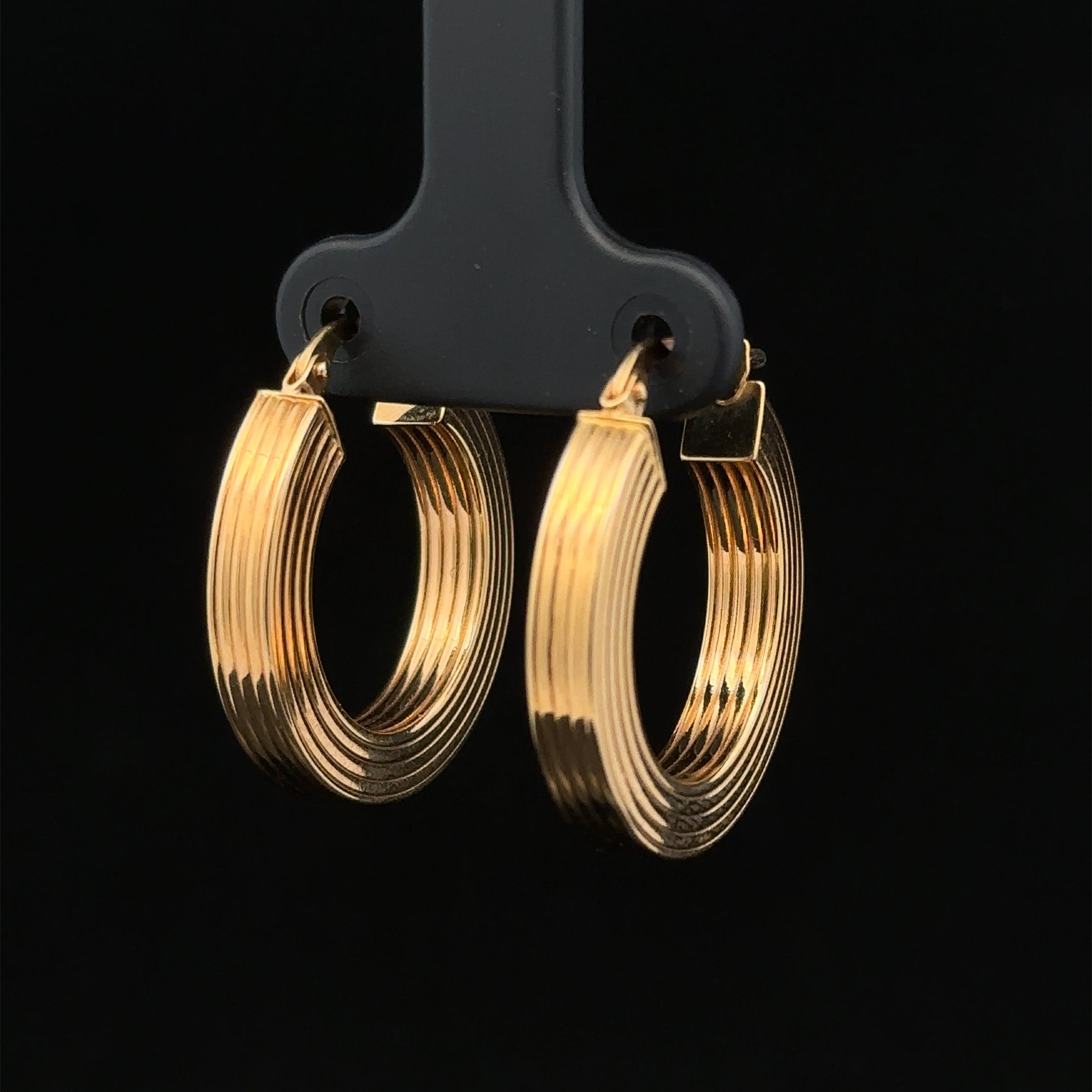 Hoop earrings with French lock back
