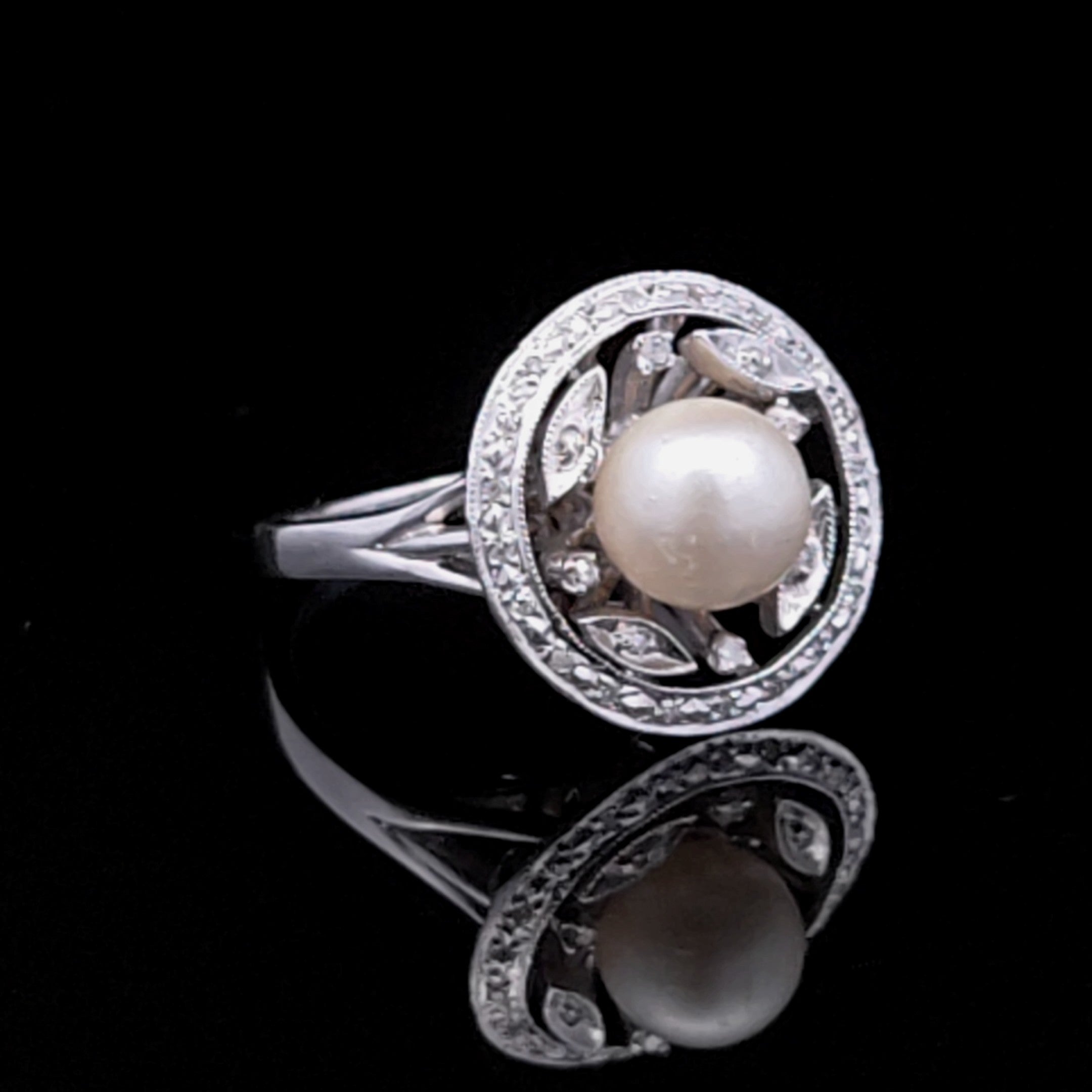 Quinn 14K White Gold Pearl and .09 CTW Diamond Ring